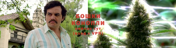 крисы Алзамай