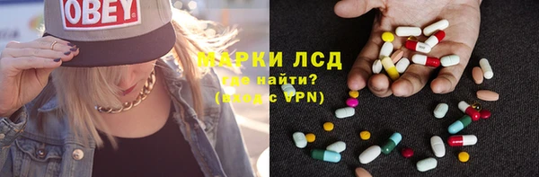 крисы Алзамай