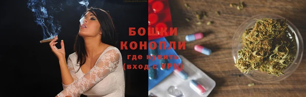 ПСИЛОЦИБИНОВЫЕ ГРИБЫ Алексеевка