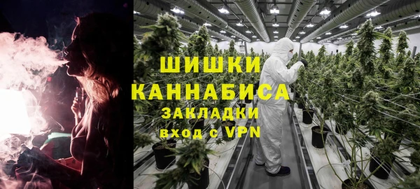 ПСИЛОЦИБИНОВЫЕ ГРИБЫ Алексеевка