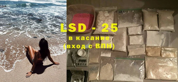 крисы Алзамай