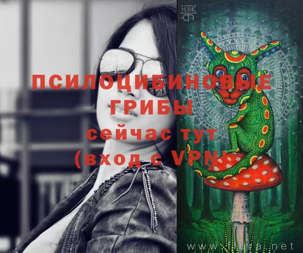 ПСИЛОЦИБИНОВЫЕ ГРИБЫ Алексеевка