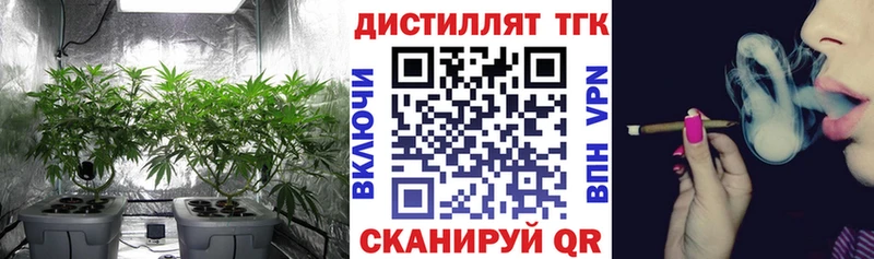что такое Каргат shop формула ТГК Wax